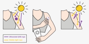 Since Sunscreen Blocks Uv Rays, But Lets Visible Light - Cartoon