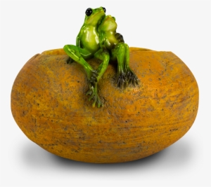 Bella 6" Two Frogs Planter