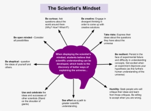 Education Is Set Up In Such A Way That Students Are - Diagram