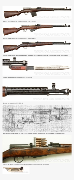 Скс, Который Так И Не Вступил В Бой - Firearm