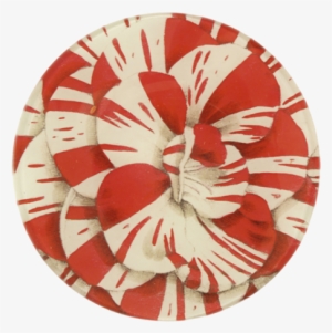 Red & White Carnation - Circle