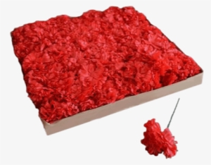 Get A Box Of Red Carnations To Insert Into Your Media - Step And Repeat