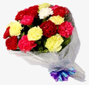 15 Mixed Carnation Roses - Mix Carnations Bouquet