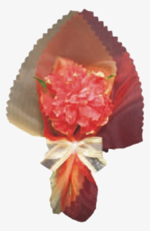 Red Carnations - Fruit