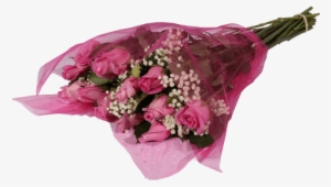 Pink Roses - Panties