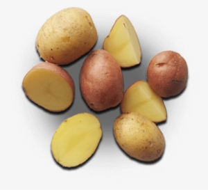 Biltmore Hotel & Suites