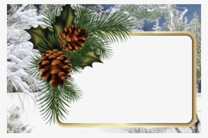 Album - Free Pine Cone Christmas Borders