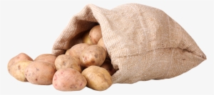 Welcome To Yoyo Foods, Makers Of Yoyo Fun Snacks We're - Russet Burbank Potato