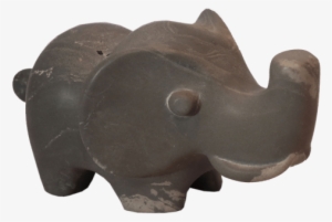 Elephant Trunk - Indian Elephant