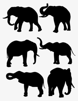 A Glossary Of Publishing Terms Contexture - Wildlife Conservation And Utilization