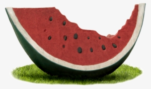 Formerly Known As Bushy Park Wholesale, Big Watermelon - Big Watermelon Wantirna South