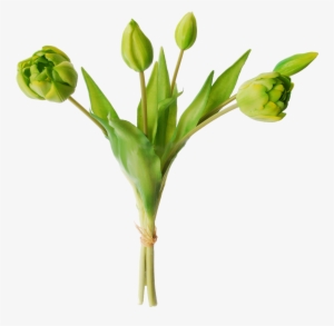 Tulips In A Bundle Of 5 - Tulip