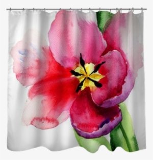 Tulip