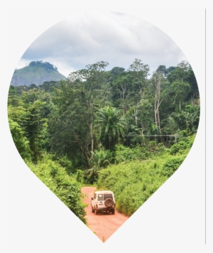 Ivory Coast Nature Nimba