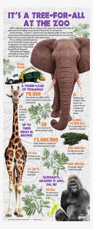 “it's A Very Welcome Bonus - Animals In Danger In Africa [book]