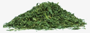 Green Tea Matcha Dried Leaves