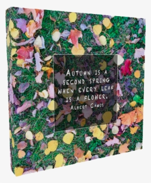 Autumn Flowers Mnspiration - Flower