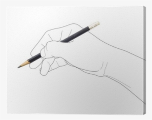 Sketch
