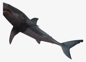 Great White Shark Clipart Realistic Shark - Shark Underwater Png