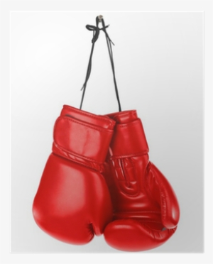 Boxing Gloves Stock