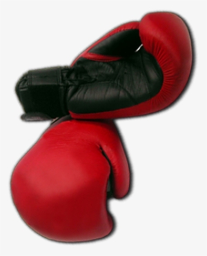 Home - Boxing Gloves
