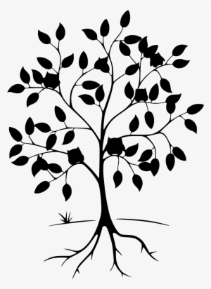 Download Png - Tree Of Life Png