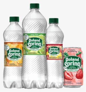Poland Spring Sparkling Water Flavors In Bottles And - Poland Spring Natural Spring Water - 20 Fl Oz Bottle