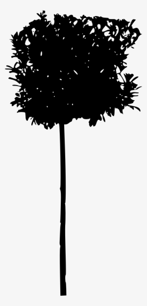 45 Tree Silhouettes Png Transparent Background - Tree