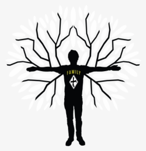 'the Xanadu Family Of Boards Was Born Of The Concept - Design