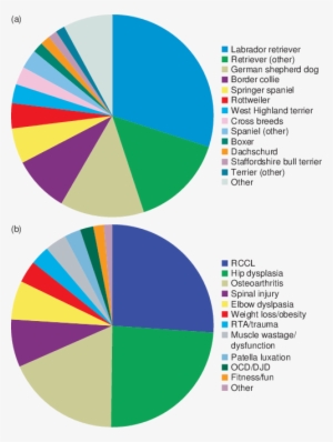 Distribution Of Common Breeds And (b) Conditions Of - Osteoarthritis