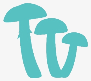 Choose The Type Of Shroom - Shiitake