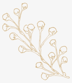 And Help You Feel Comfortable In Front Of The Camera - Drawing