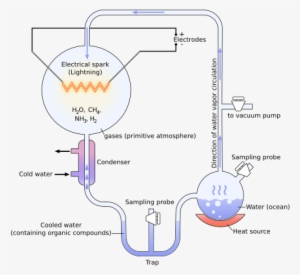 Miller Urey Experiment Diagram