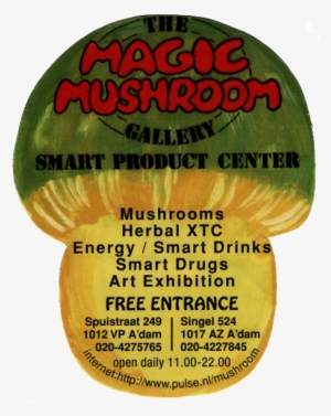 The Magic Mushroom Gallery