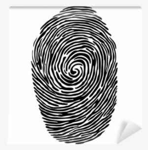 Fingerprint Vector