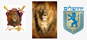 Lion Of Judah Healing Ministry Is Copyrighted - Lion And The Lamb Banner