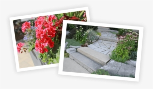 At Western Landscape Services We Look After Your Property - Landscaping