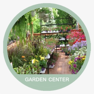 A&a Plants - A & A Plants