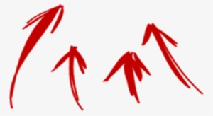 0 Replies 0 Retweets 4 Likes - Contact Us