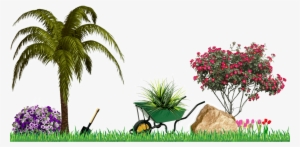Gardening Services - Palm Trees