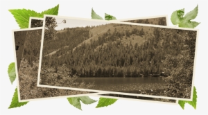 Get Best Deals On All Garden Products - Texas