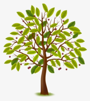 Home-tree - Lente Zomer Herfst Winter