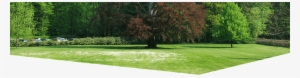 Contact Form - Lawn