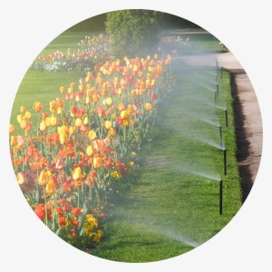 Smart Irrigation - Sprinkler Irrigation In Garden