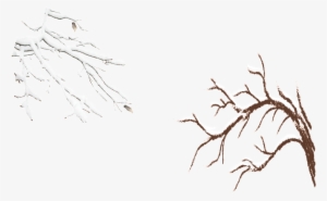 Snow Covered Branches - Portable Network Graphics