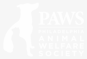 Spay/neuter And Wellness Clinic - Cat