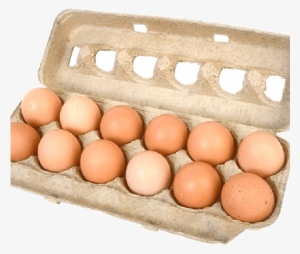 Eggs - Affiche Vente De Poulet De Chair