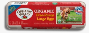 Large Eggs, One Dozen - Organic Valley Milk