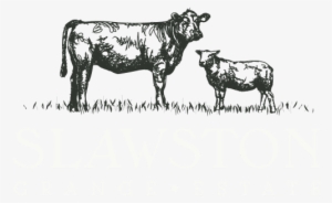 Brand Identity And Design For Slawston Grange Estate - Dairy Cow