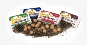 5 Dozen, 60's Carry Pack - Kiwifruit